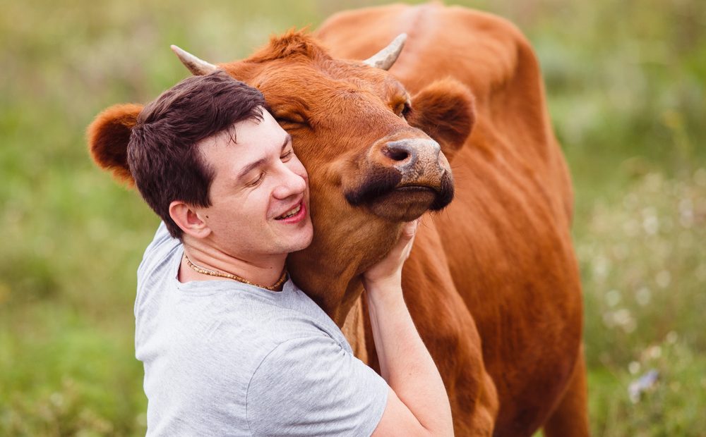 Cow Hugging Therapy? Yes, Please!