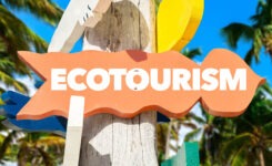 Ecotourism: What You Need To Know